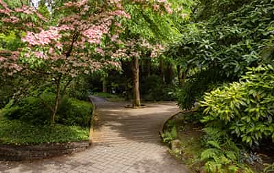 a pathway in a park in Fraser Valley British Columbia